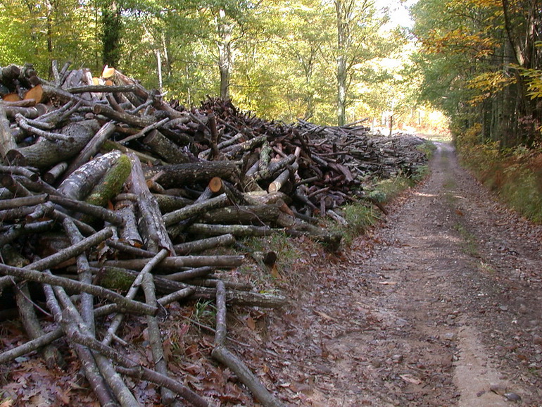 Escursione  in terra di Siena